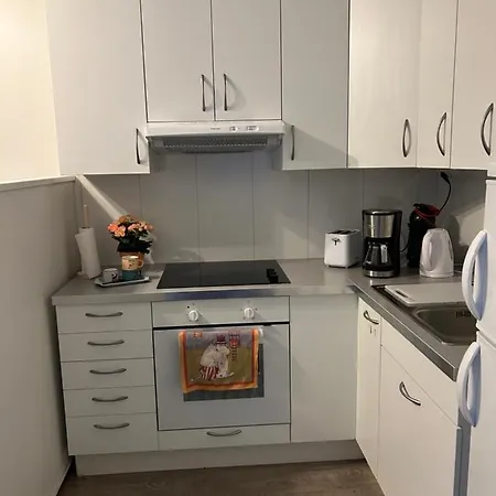 Studio * 罗瓦涅米